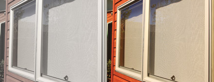 Awning/Casement Windows